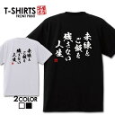 tシャツ 送料無料 半袖 アメカジ サーフ サーフ系 surf カレッジ カジュアル ロゴ フォトT カジュアル トップス プリントTシャツ tee カットソー メンズ レディース ユニセックス S M L ティーシャツ ゆったり 綿100% ハワイ ハワイアン ビーチ サマー 西海岸 カリフォルニア(4)