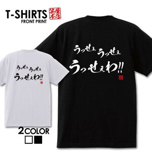 おもしろ tシャツ 面白いTシャツ ネタtシャツ 送料無料 おもしろ雑貨 漢字 文字 メッセージtシャツ ネタtシャツ 文字tシャツ パロディTシャツ ふざけtシャツグッズ メンズ 名言 プレゼント ギフト 名言 半袖 S M L XL ティーシャツ