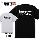 面白グッズ（2000円程度） おもしろ tシャツ 面白いTシャツ ネタtシャツ 送料無料 おもしろ雑貨 漢字 文字 メッセージtシャツ ネタtシャツ 文字tシャツ パロディTシャツ ふざけtシャツグッズ メンズ 名言 プレゼント ギフト 名言 半袖 S M L XL ティーシャツ