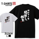 おもしろ tシャツ 面白