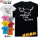 おもしろ Tシャツ ネタ Tシャツ パロディ Tシャツ 誕生日 プレゼント おもしろTシャツ メッセージTシャツ ネタTシャツ 文字Tシャツ パロディTシャツ ふざけTシャツ メンズ 名言 語録 プレゼント ギフト 名言 半袖 S M L XL プリントスター