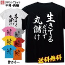 おもしろ Tシャツ ネタtシャツ 誕生日 プレゼント 漢字 文字 メッセージtシャツ ネタtシャツ 文字tシャツ パロディTシャツ ふざけtシャツ メンズ レデ...