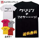 おもしろ Tシャツ ネタ Tシャツ パロディ Tシャツ 誕生日 プレゼント おもしろTシャツ メッセージTシャツ ネタTシャツ 文字Tシャツ パロディTシャツ ...
