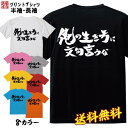 おもしろTシャツ おもしろ Tシャツ ネタ Tシャツ パロディ Tシャツ 誕生日 プレゼント おもしろTシャツ メッセージTシャツ ネタTシャツ 文字Tシャツ パロディTシャツ ふざけTシャツ メンズ 名言 語録 プレゼント ギフト 名言 半袖 S M L XL プリントスター