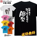 おもしろ Tシャツ ネタ Tシャツ パロディ Tシャツ 誕生日 プレゼント おもしろTシャツ メッセージTシャツ ネタTシャツ 文字Tシャツ パロディTシャツ ふざけTシャツ メンズ 名言 語録 プレゼント ギフト 名言 半袖 S M L XL プリントスター