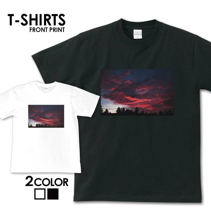 tシャツ 送料無料 半袖 メンズ レディース アメカジ サーフ surf カレッジ ロゴ カジュアル トップス プリントTシャツ ティーシャツ ロゴ tee シンプル カットソー トレンド おしゃれ プリント S M L XL ティーシャツ 写真 海 ハワイ ビーチ サマー アロハ 西海岸