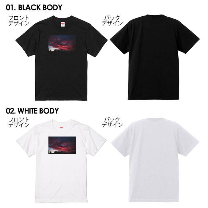 tシャツ 送料無料 半袖 メンズ レディース アメカジ サーフ surf カレッジ ロゴ カジュアル トップス プリントTシャツ ティーシャツ ロゴ tee シンプル カットソー トレンド おしゃれ プリント S M L XL ティーシャツ 写真 海 ハワイ ビーチ サマー アロハ 西海岸