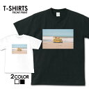 tシャツ 半袖 メンズ 