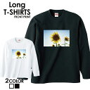 送料無料 tシャツ ロンT ロングTシャツ 長袖tシャツ 長袖カットソー 長袖 ロンティー 安い プリントTシャツ ロゴTシャツ フォトTシャツ アメカジ サーフ カジュアル カワイイ ヒップホップ ストリート フォト 写真 サーフ サマー 西海岸 カリフォルニア ニューヨーク(4)