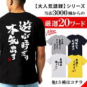 tシャツ ネタtシャツ 送料無料 tee お