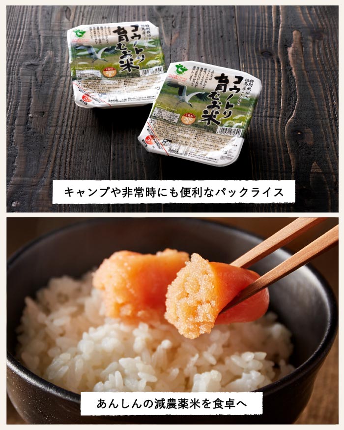 コウノトリ育むお米減農薬送料無料パックご飯200gtimes;24食パックごはん200gウーケ備蓄用1ケース200gtimes;3ptimes;8袋入非常食パックライスコシヒカリローリングストック災害避難備蓄長期保存粗品贈答賞味期限2022.02