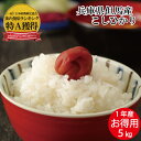 令和元年産 特A ランク 兵庫県但馬産 米 5kg 送料無料 西日本 兵庫県 但馬産 コシヒカリ 食味 ランキング 特A お米 産地 直送 得用 白米 5kg JA お買い得 生活応援 お米 令和1年産