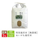 新米 無農薬 無化学肥料 送料無料 玄米 5kg あいがも米 令和2年産 西日本 兵庫県 但馬産食味 特A 米 健康食 へも最適 アイガモ 農法 最適 合鴨米