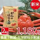 新米 かにのほほえみ 白米 2kg特別栽培米30年産 コシヒ...