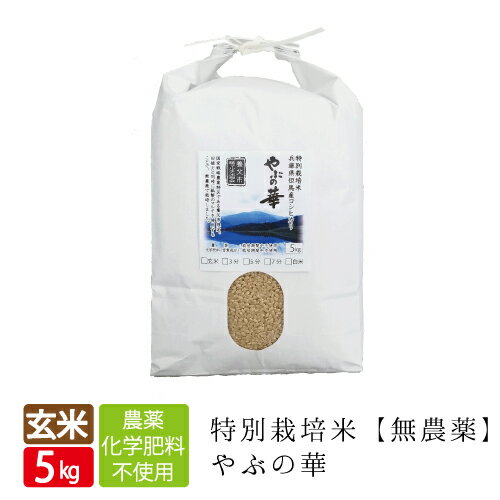 無農薬 玄米 無農薬 無化学肥料 送料無料 玄米 5kg やぶの華 兵庫県 養父市 限定 有機 玄米 無農薬 コシヒカリ 西日本 但馬産 特A 無農薬米 令和5年産