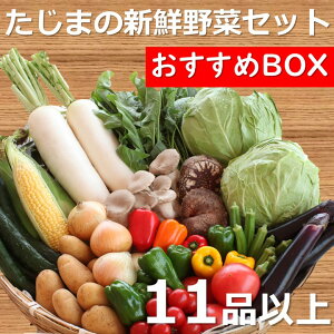農家応援 たじまの野菜セット おすすめBOX（新鮮野菜11品以上）