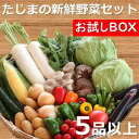 ファーマーズマーケット たじまんま 農家応援 たじまの野菜セット お試しBOX（新鮮野菜5品以上） 新鮮 野菜BOX 西日本 トマト きゅうり なす 葉物 など 産地直送 人気商品 兵庫県産 国産 お取り寄せ 季節 5品 野菜詰合わせ おまかせ 送料無料 【産直商品につき同梱不可】