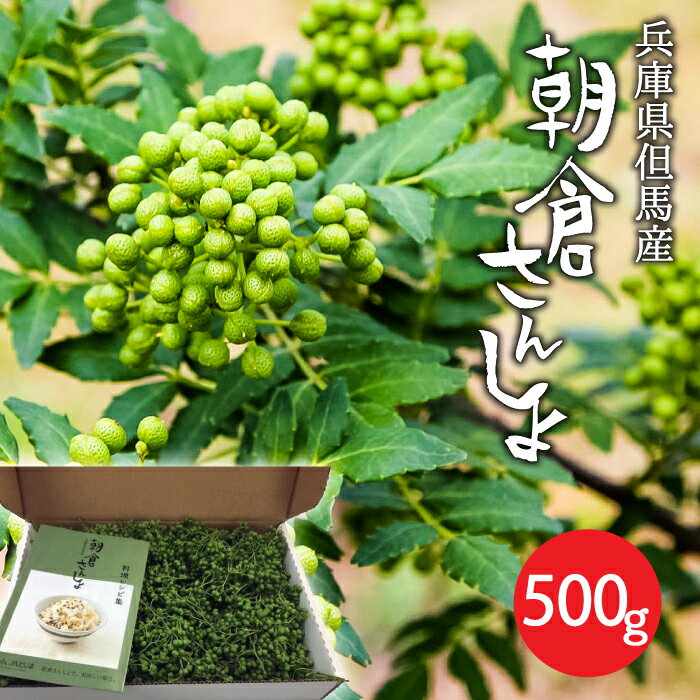 100g×10袋 業務用 干し山椒（さんしょ）【粒】和歌山県有田川町清水(しみず)産