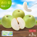 【予約】 香住梨 二十世紀梨 秀品 3kg 大きめ (2L〜5L:6〜10玉) 兵庫県随一 産地 香住梨 二十世紀梨 約3kg 送料無料 甘い シャキシャキ 2...