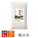 令和5年産 新米 みかた 棚田米 白米 5kg コシヒカリ こしひかり 天空の城 こうのとりで有名な 西日本 兵庫県 但馬産 食味 ランキング 特A