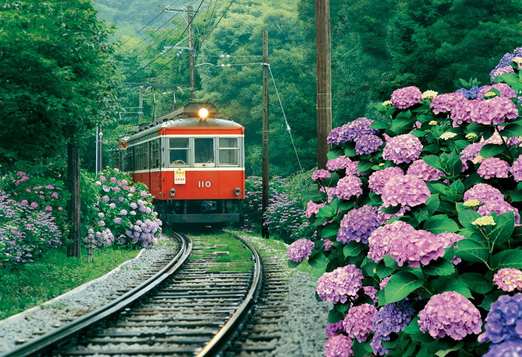 ジグソーパズル EPO-26-217 あじさい薫る箱根登山鉄道