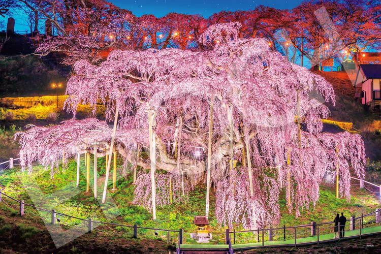 ジグソーパズル EPO-09-058s 三春の滝桜-福島 1000ピース エポック社 パズル Puzzle ギフト 誕生日 プレゼント