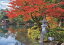EPO-05-119 風景 紅葉の兼六園ー石川 500ピース ジグソーパズル パズル Puzzle ギフト 誕生日 プレゼント