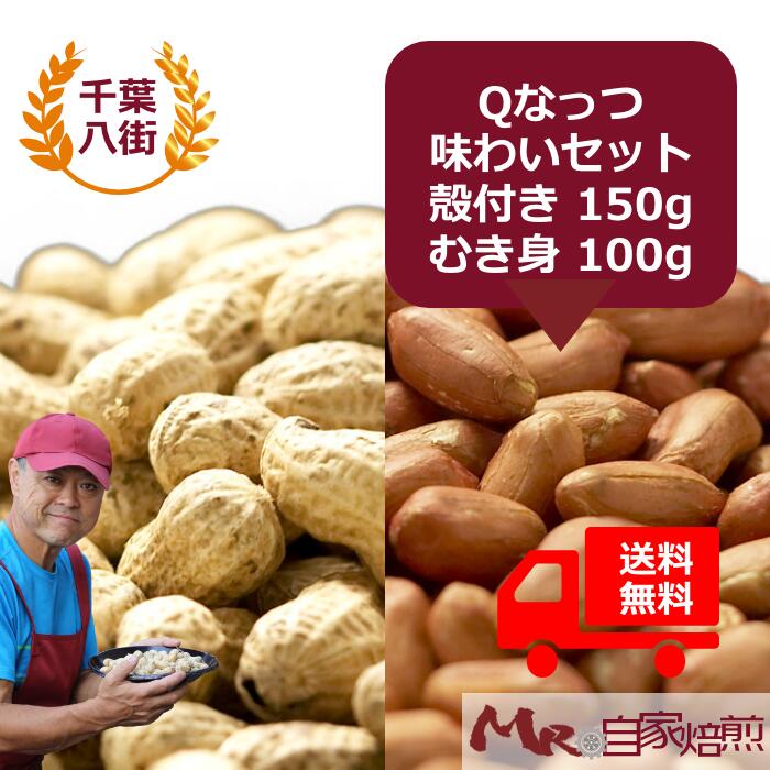 Qなっつ 味わいセット(殻付き150g + むき実100g) 国産 千葉県産 八街産 ピーナッツ 送料込