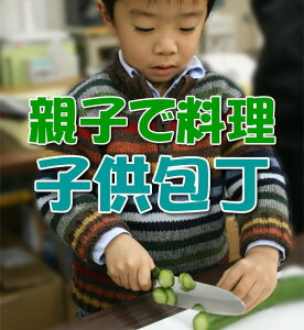 子供包丁 こども包丁 子供の日の包丁プレゼントにピッタリ！安全設計の子供包丁です クリスマ