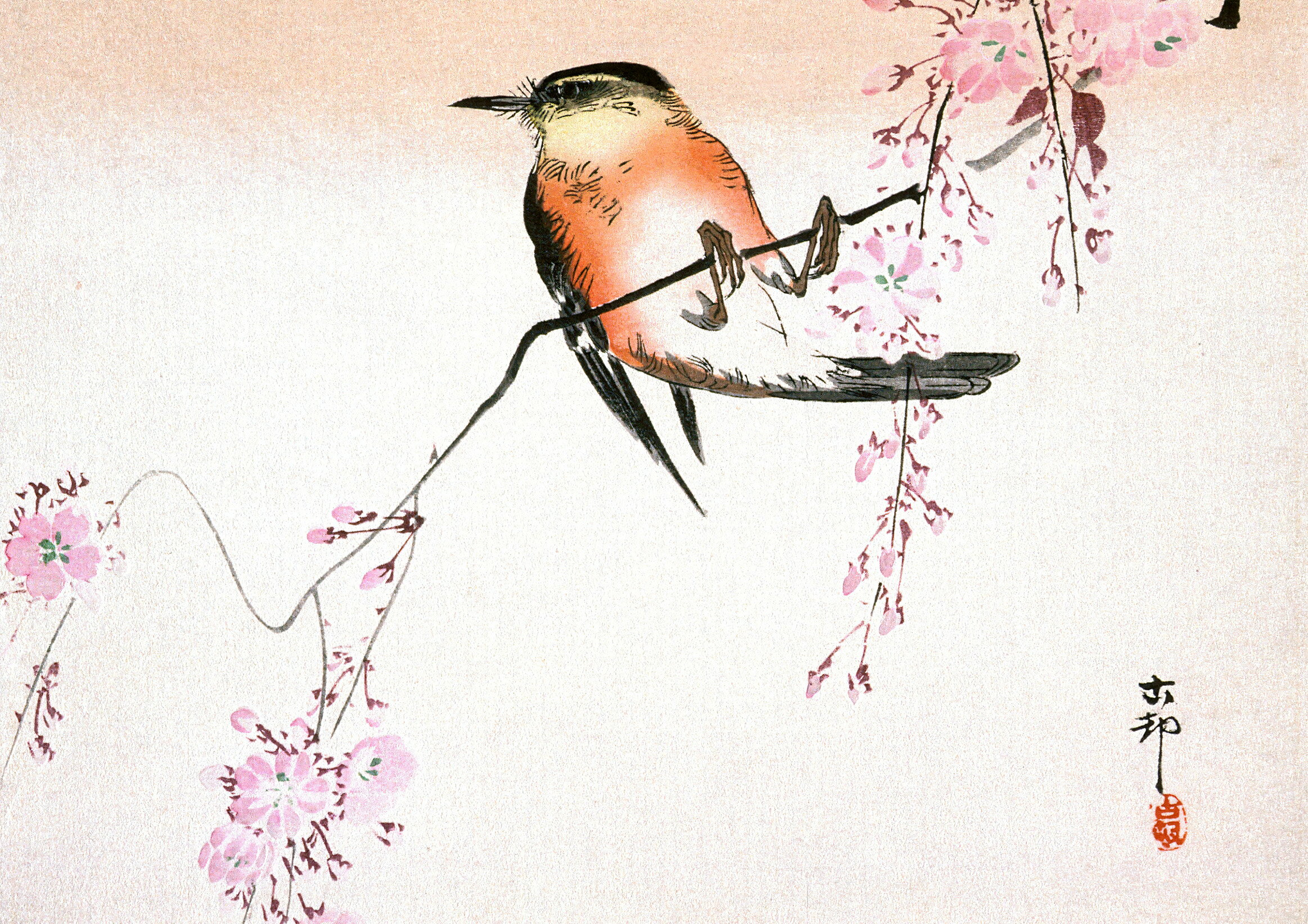 乐天商城 - 小原古邨 「枝垂れ桜と鶯」　A2(420mm×594mm）アートポスター 日本製 絵画 インテリア 壁紙