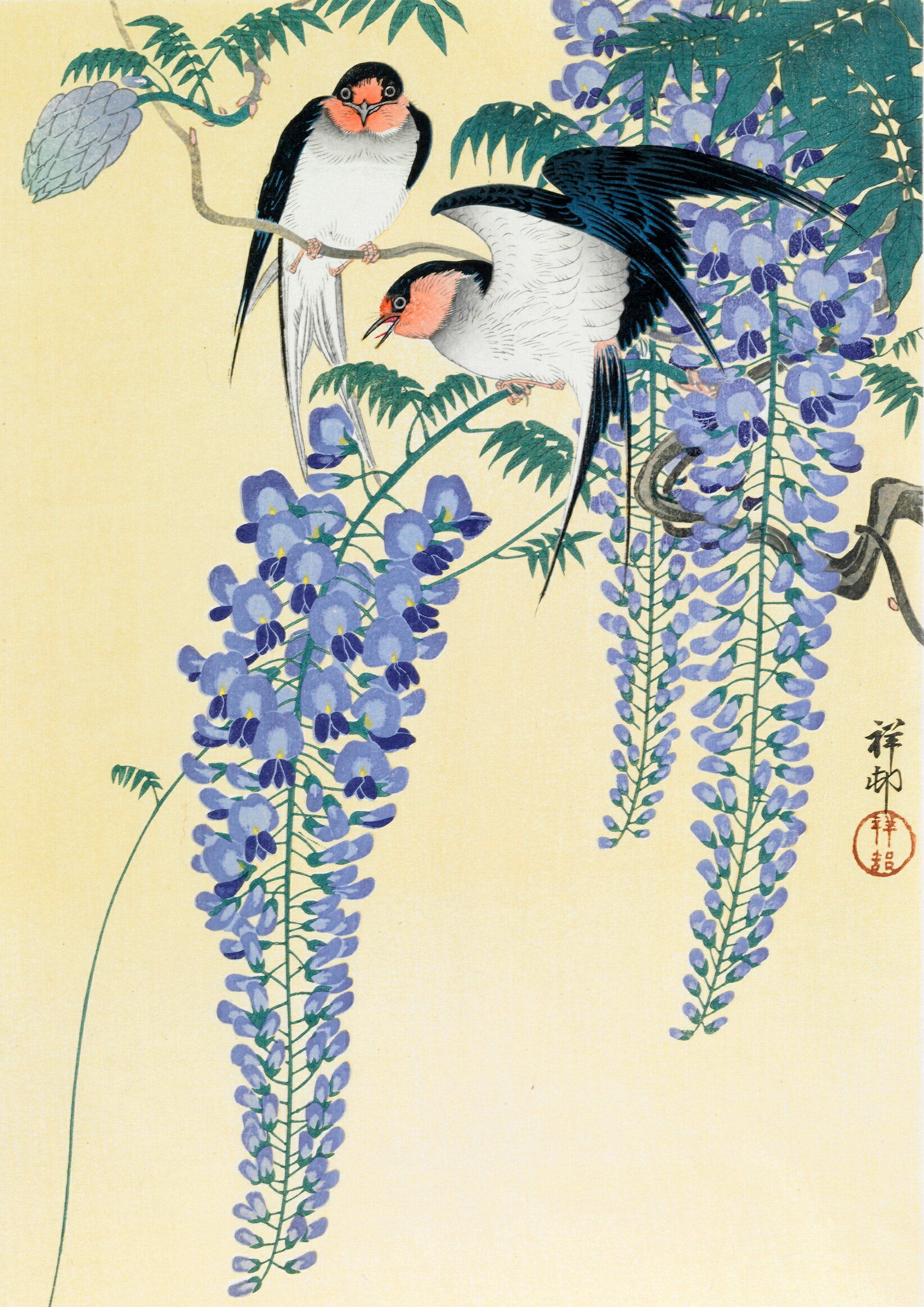 樂天商城 - 小原古邨 「藤に燕」　A3(297mm×420mm）アートポスター 日本製 絵画 インテリア 壁紙