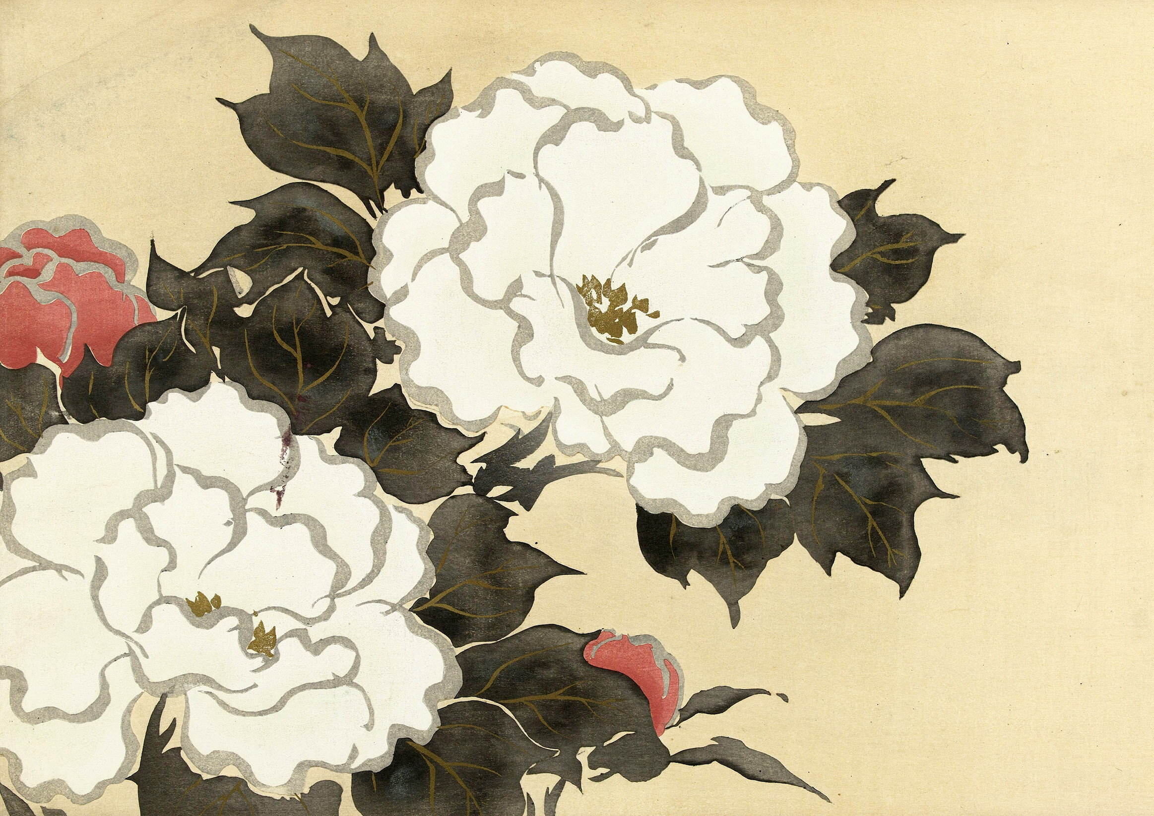 神坂雪佳_＜深見草＞百々世草より　A3(297mm×420mm）アートポスター 日本製 絵画 インテリア 壁紙