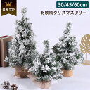 クリスマスツリー 卓上 ミニツリー 30cm 45cm 60cmクリスマス クリスマスツリーセット 飾り 壁掛け ツリー 北欧風 おしゃれ クリスマス オーナメント 雑貨 小さめ 小さい 小型 新生活