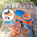 昆虫観察ボックス 昆虫採集キット 4点セット 昆虫ケース ケージ レンズ付き 飼育 観察 虫かご 拡大鏡 夏 ピンセット ストラップ 持ち運び