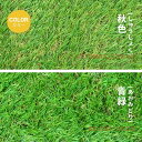 人工芝 ロール 1m×5m 1m×10m 2m×10m 芝丈35mm 高密度47万本/m2 ピン12本 4色立体 透水穴つき リアル ふかふか 高品質 高密度 ...