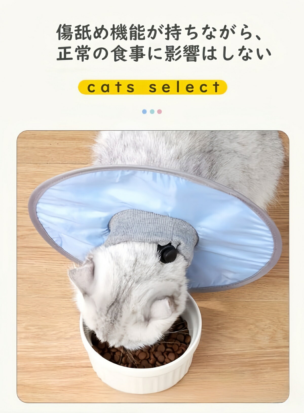 ���ꥶ�٥����顼ǭ ���ꥶ�٥����顼 ǭ �ڥå� ���塡�Ѹ� ���Ӥ� ­�Ӥ� �ɻ� ���� �Ҥä��� �ϡ��� ����� ���餫�� �ե��������顼