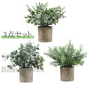 新生活 観葉植物 3点セット 人工植物 造花 高さ23cm インテリアグリーン ミニ観葉植物 おしゃれ 鉢 おしゃれ フェイクグリーン 人工観葉植物 インテリア...