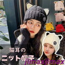 新品 帽子 猫耳 ニット帽子 裏起毛 暖かい 冬 レディース メンズ お出かけ デイリー 可愛い おしゃれ シンプル ユニーク 撮影 秋 男女兼用