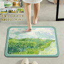 珪藻土バスマット40x60cm~80x120cm 大判 サイズ 珪藻土マット 風呂 バスマット 足ふきマット 速乾 珪藻土 キッチンマット 滑り止め 浴室 洗面...