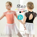 2点セット バレエ レオタード 子供 レース スカート付 キッズ ジュニア レッスン着 ダンス 衣装 女の子 幼稚園 小学生 新体操 練習 発表会