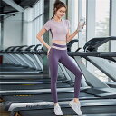 初心者向け ヨガ レギンス レディース 上下セット ヨガウェア おしゃれ ヨガパンツ スポーツウェア トレーニングウェア スポーツ 美脚 バレンタイン 2023...