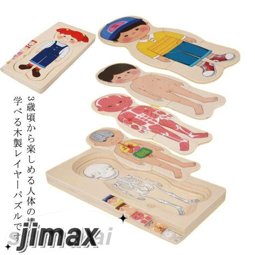 人体 男の子 構造 人体パズル 女の子 対象年齢3歳 学べる 木製レイヤーパズル 木のおもちゃ 知育玩具 木製人体パズル 人体 男の子 構造 人体パズル 女の子 対象年齢3歳 学べる 木製レイヤーパズル 木のおもちゃ 知育玩具 木製人体パズル