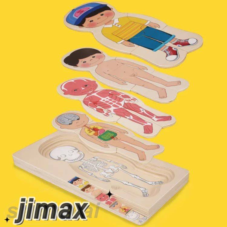 人体 男の子 構造 人体パズル 女の子 対象年齢3歳 学べる 木製レイヤーパズル 木のおもちゃ 知育玩具 木製人体パズル