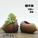 植木鉢 ミニ 2点セット プランター 多肉 苔 コケリウム 苔リウム 箱庭 鉢 可愛い サボテン 多肉植物 寄せ植え 置物 インテリア どんぐり 松かさ かわい...