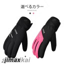 スキー手袋 スキーグローブ スキー グローブ スノボ スノボー 手袋 防寒 防風 ウィンタースポーツ 防水 スキー用品 メンズ レディース