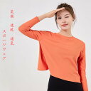 レディース 春夏 薄手 ヨガ スポーツ 長袖 速乾トップ 通気性 ネスブラウス