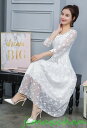 サマー パーティードレス ワンピース チャイナドレス チュールワンピース レディース ナチュラルエスニックスタンドカラー 写真撮影 Aラインドレス(4)