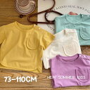 気楽 韓国 韓国服 半袖 韓国ファッション キッズ こども服 無地 半袖 Tシャツ 夏用 薄手 男児 女児 ユニセックス 通園 0歳 1歳 2歳 3歳 キッズ ...