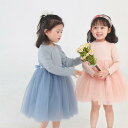 気楽 韓国こども服 ドッキングワンピース 長袖 無地 チュールワンピース こども チュール切り替えワンピース 女の子 子供服 こども服 子ども服 キッズ 春 秋 ワンピース 90 長袖 スタンダ(4)