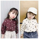 気楽 韓国こども服 ドットブラウス 2color トップス ブラウス シャツ ドット柄 水玉トップス ドットレッド アイボリー 水玉シャツ ダブルカラー おしゃれ キッズ 女の子 こども